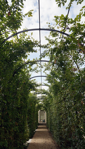 Hornbeam arch2 288 xxx q85